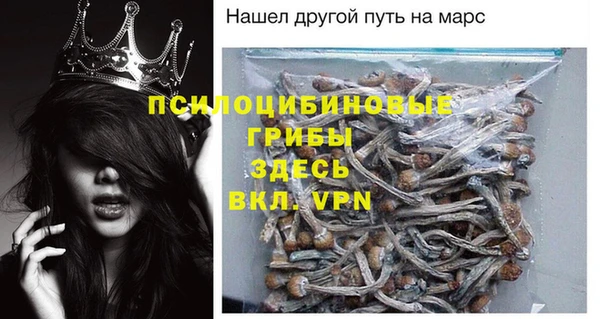 spice Армянск