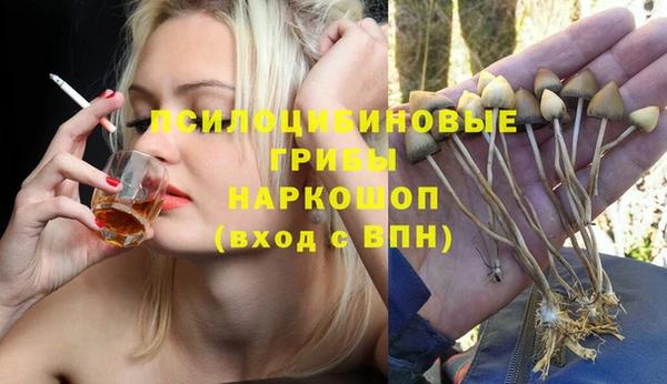 шишки Балахна