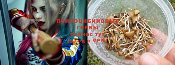 шишки Балахна