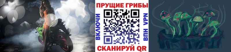Галлюциногенные грибы Cubensis  где найти наркотики  Жуковка 